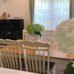 お隣の方から頂いた緑と白の素敵な紫陽花。有難うございました。